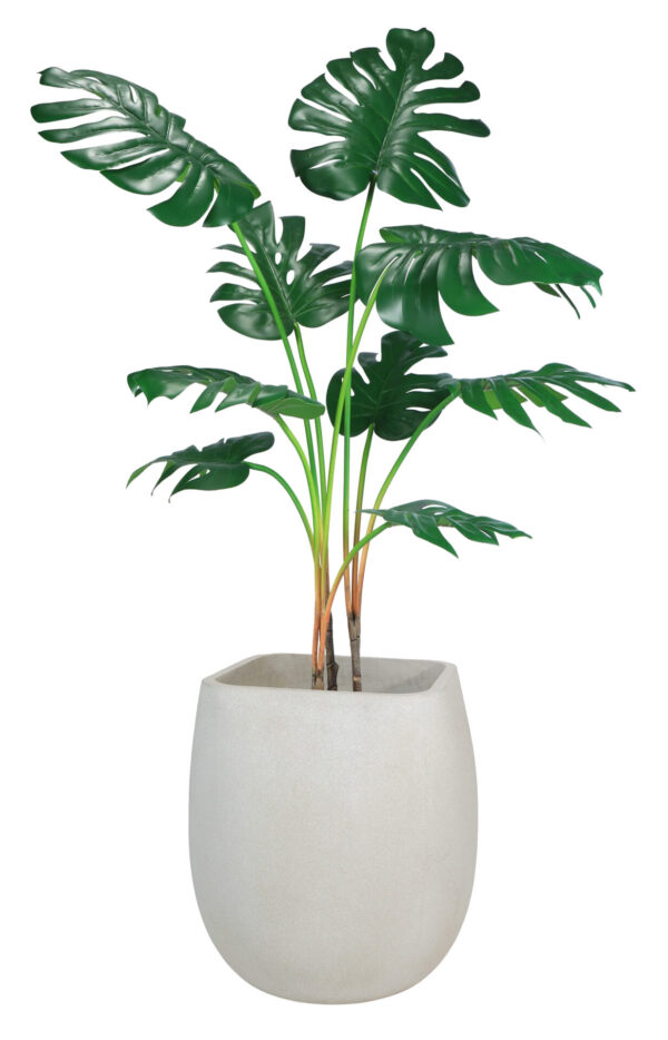 The Austen Planter - Image 2