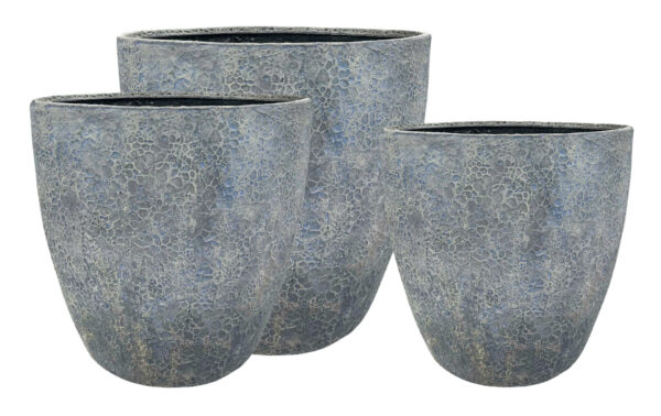 Pontus Planter - Image 2