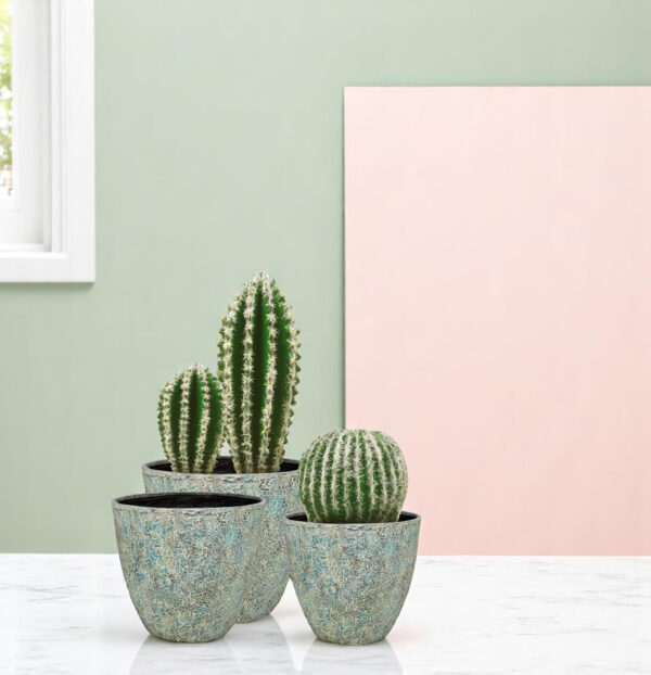 Echora Planter - Image 5