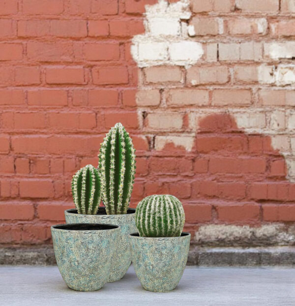 Echora Planter - Image 3