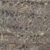 Brown Fossile